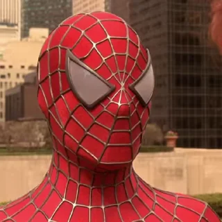 🕸️