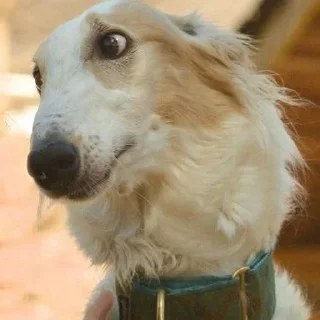 😳