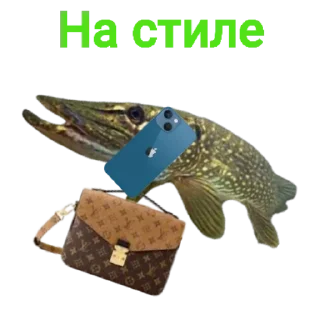😎