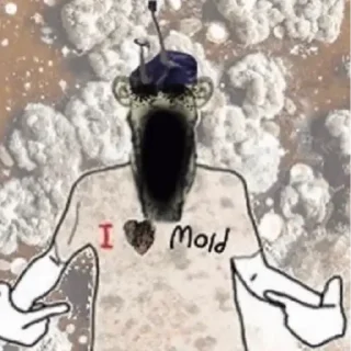 😨