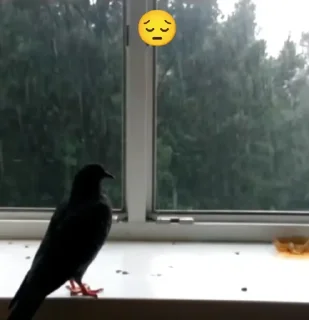 😔