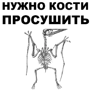 ☠️
