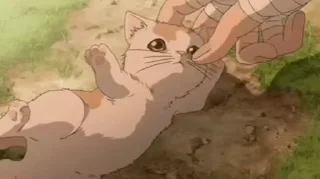 🐱