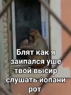 🤬