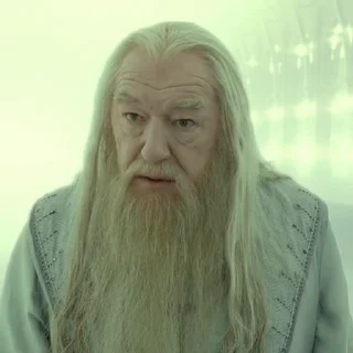 🧙‍♂️