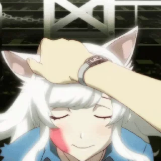 🐱