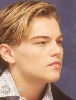 Leonardo DiCaprio @stickersb2b