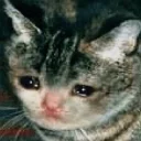 😢