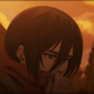 🧣