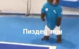 🌟