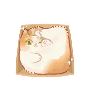 🌟
