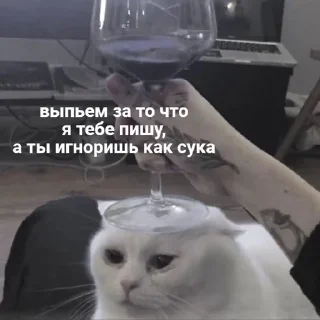 😶
