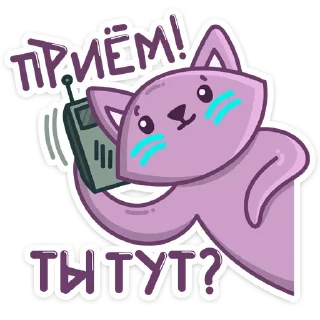 📞