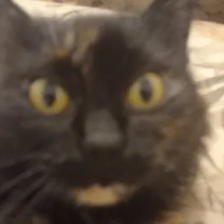 😳
