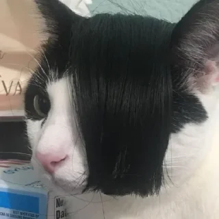 🤨