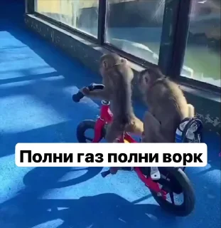 🤩