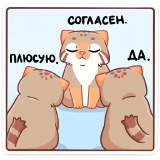 👍