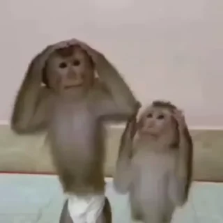🌟