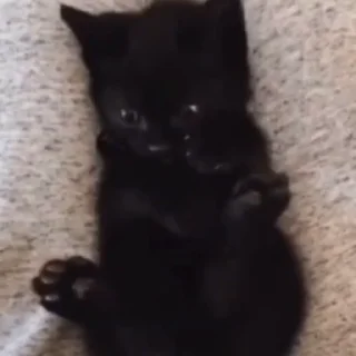 🙊
