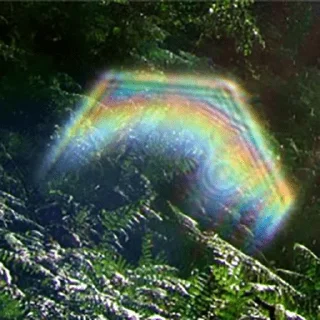 🌈