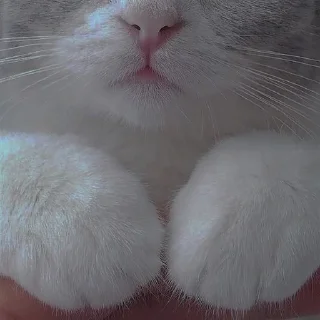 💗
