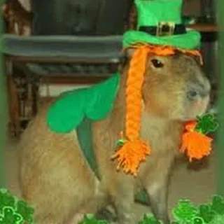 🍀