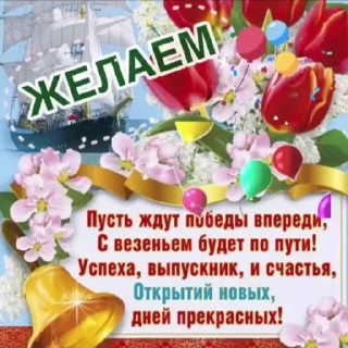 🌟