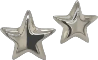 🌟