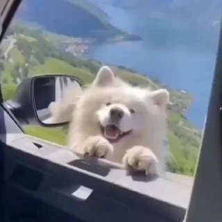 🤩