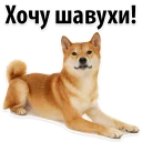 😄