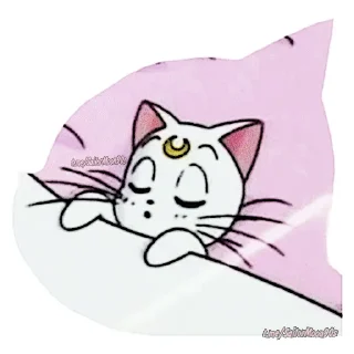 😴