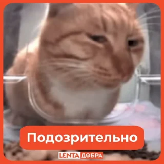 🤔