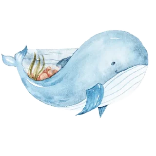 🐳