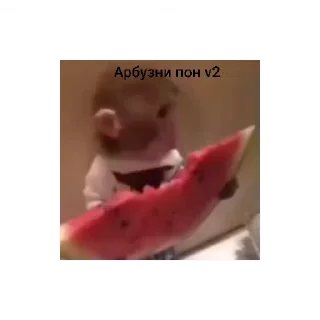🍉