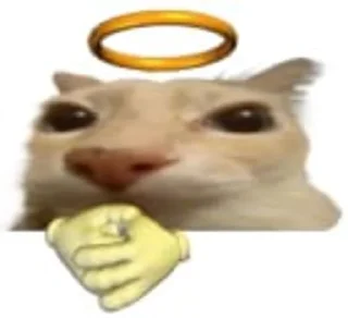 😇