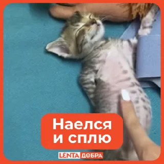 😴