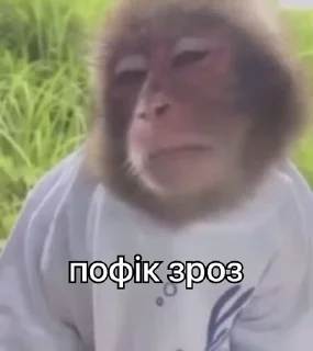 😒