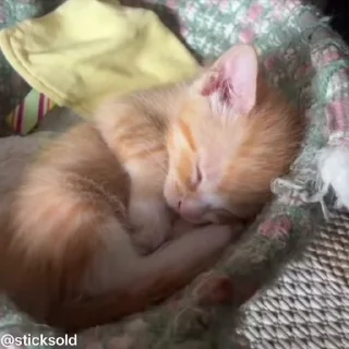 😘