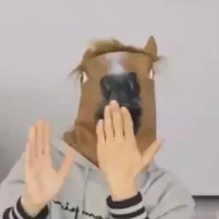 🐴