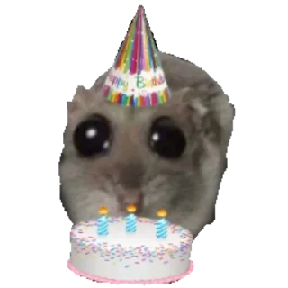 🍰