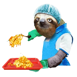 👨‍🍳