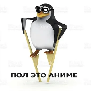 🐧