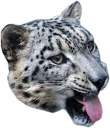 😛