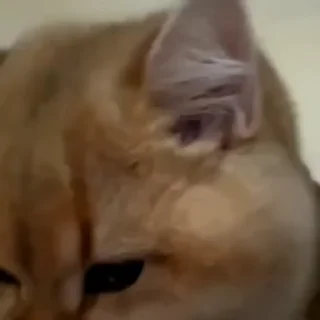 😱