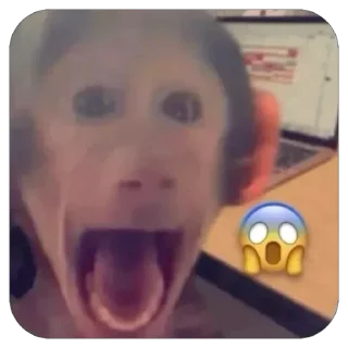 😱