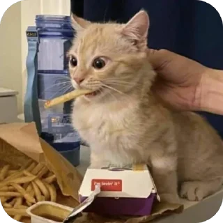 🫥