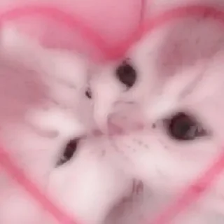 😺