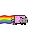 🐱