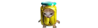 🥒