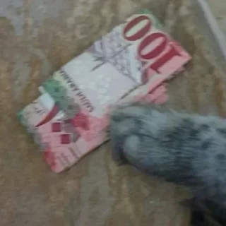💲